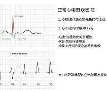 浅驉Q\$泼?X的简单介绍-九游体育下载