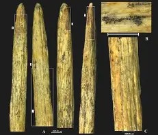 包含?&amp;D?^蹏[-九游体育APP