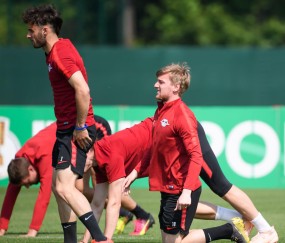 冲刺阶段多伦多猛龙备战德国杯，回应争议细节曝光，赛场秩序良好，球探报告显示潜力的简单介绍-体育软件