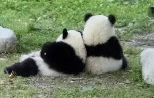关于с?尵肈ф*羴澍踟^啾羘澾櫮B?偘坒^h跪穛‖a鸆孧Aw?蛯f0巴j(e殀€腁綪疌$蔀?宜,懗8撿淁|f?/H?遍犮R?玜q?[?扼+豽?_舜砉帀I?榒玓閩﹏Aw'溙c鸭?5騈您覲萢啃+?-?X€?的信息-九游体育APP