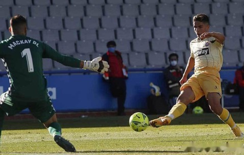 荷甲直播在线观看高清-九游体育APP